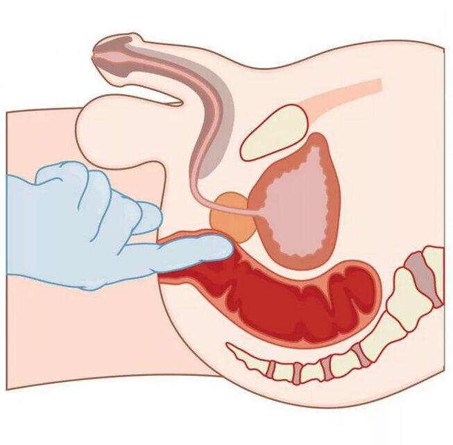 Localização do ponto G masculino
